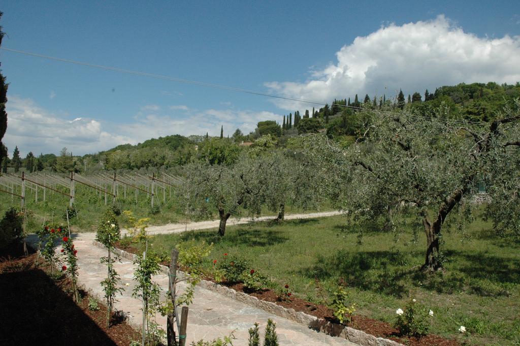 Bauernhof Tenuta La Pergola