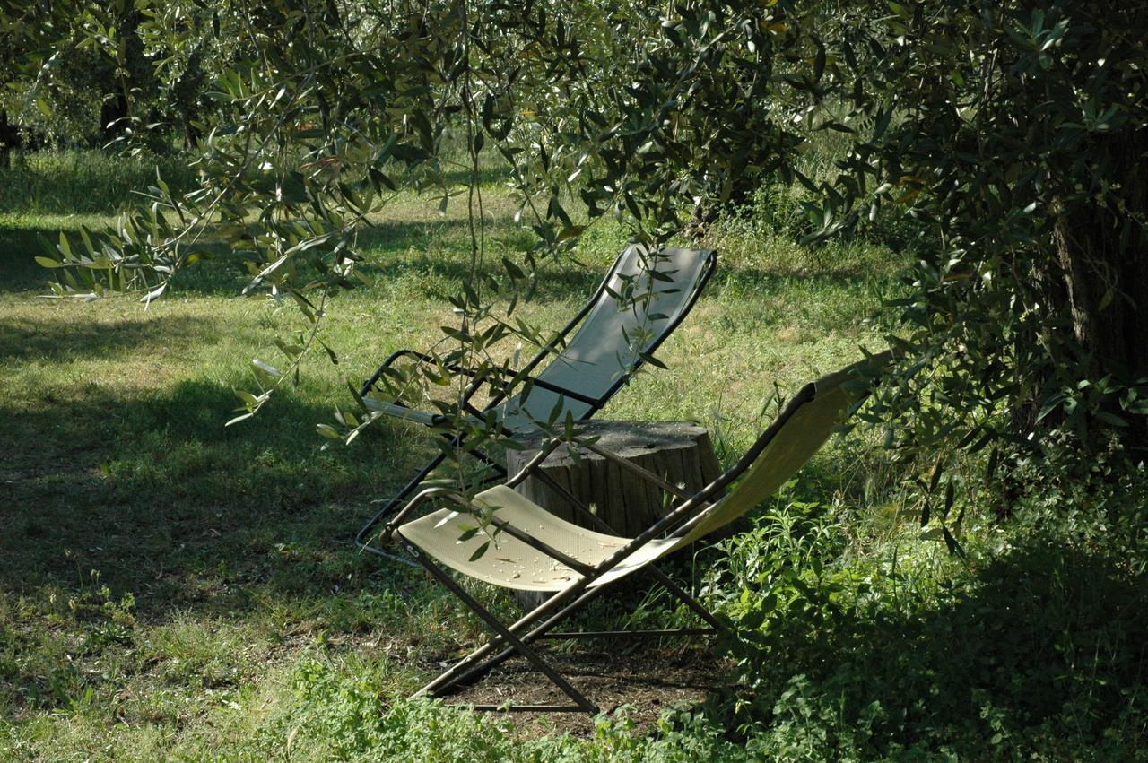 Bauernhof Tenuta La Pergola Bardolino